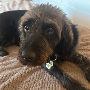 Meet your Posher, Jackie